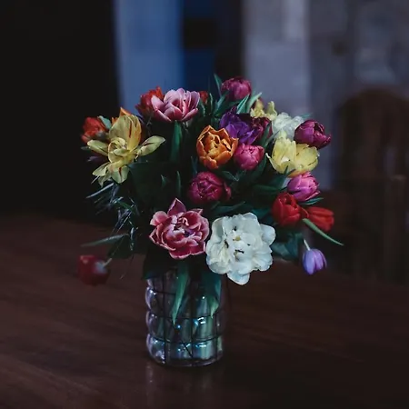 Chez Antonin Dom wakacyjny *