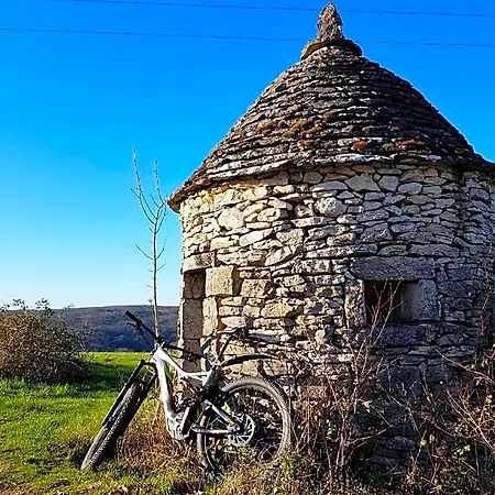 Chez Antonin